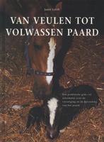 Van veulen tot volwassen paard 9789059203624 J. Lorch, Verzenden, J. Lorch
