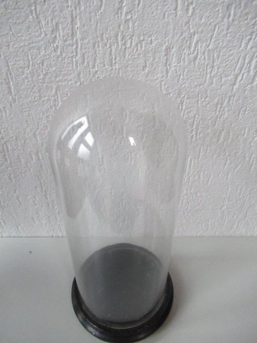 Stolp - Glas en hout - 1900-1910, Antiek en Kunst, Antiek | Overige Antiek