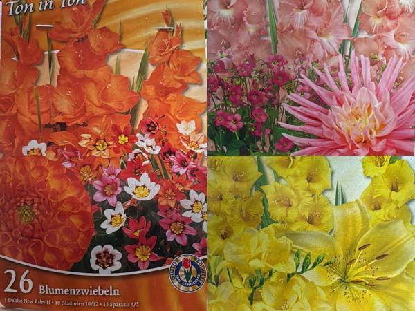 Veiling - 3 kleurig mix zomerbloeiers Geel Oranje &  Roze 73, Tuin en Terras, Bloembollen en Zaden