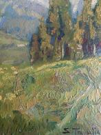 Silvio Travaglia (1880-1970) - Paesaggio Montano, Antiek en Kunst