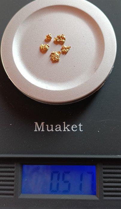 Goud Goud nugget- 0.52 g - (1), Collections, Minéraux & Fossiles