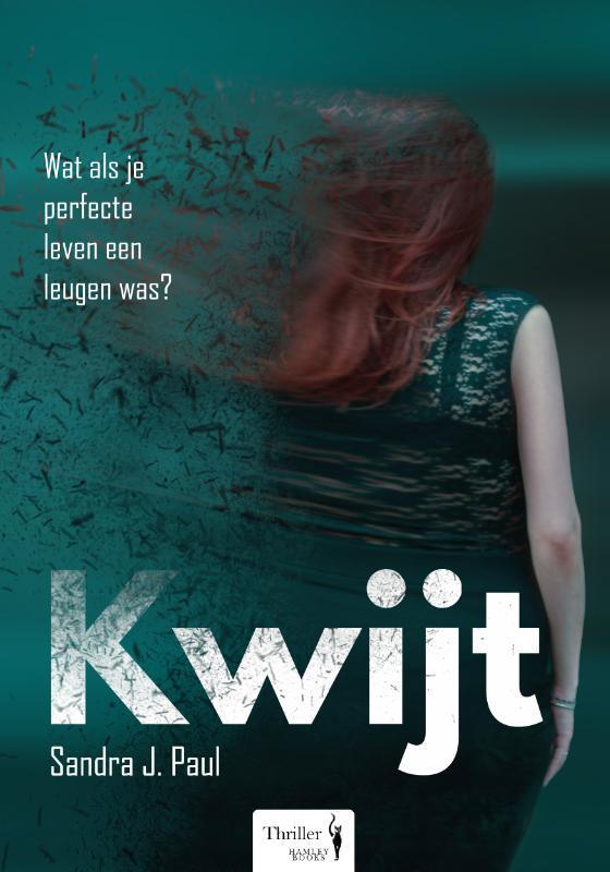 Kwijt 9789082893915 Sandra J. Paul, Boeken, Thrillers, Gelezen, Verzenden