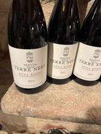 2023 Tenuta delle Terre Nere Etna Rosso - Sicile DOC - 6, Nieuw
