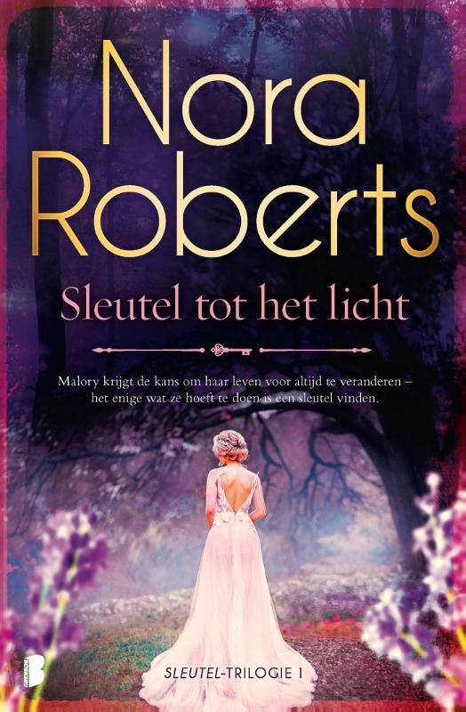 Sleutel tot het licht / Sleuteltrilogie / 1 9789022599174, Livres, Romans, Envoi
