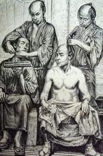 Louis Figuier - Les races humaines - 1872