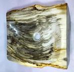 Waskom - versteend hout - wastafel, Verzamelen