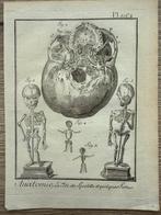 Diderot & DAlembert (XVIII) - 5 koper gravures Anatomie &
