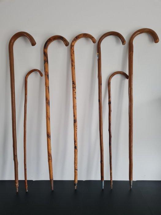 Wandelstok (7) - Hout, Antiek en Kunst, Curiosa en Brocante