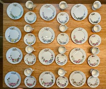 Seltmann Weiden - Ensemble de tasses à thé (36) - Porcelaine beschikbaar voor biedingen