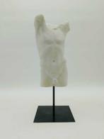 sculptuur, Torso maschile - 39 cm - marmeren stof, Antiek en Kunst