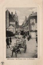 Frankrijk - autos voor honden - Loiret (zuid van Parijs) -