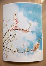 Viet Ha Tran - The beauty of simplicity