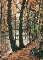 Frans Ruwel (1912 - 1987) - Herfstbos