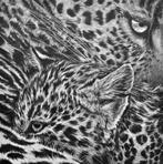 Rory Cadzow - Leopard with Cub