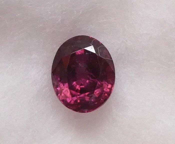 Zonder Minimumprijs Rood Robijn - 1.12 ct - Lotus Gemology, Handtassen en Accessoires, Edelstenen