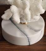 Sculpture, Decoratief wit koraal op marmeren sokkel - 16.5, Antiek en Kunst
