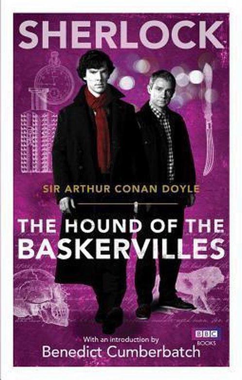 Sherlock The Hound Of The Baskervilles 9781849904094, Livres, Livres Autre, Envoi
