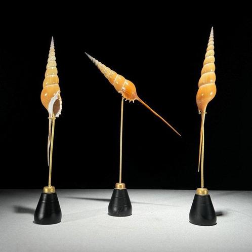 Livraison gratuite en Europe continentale - Ensemble, Antiek en Kunst, Kunst | Designobjecten