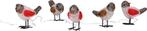 2dekans | Kerstfiguur Acryl - Vogels - LED - set van 5, Ophalen of Verzenden, Nieuw