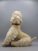 Steiff - Ours en peluche Snobby the poodle - 1960-1970 -, Antiquités & Art