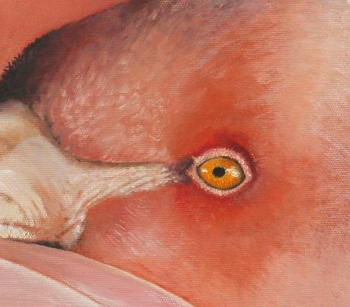 Danka Weitzen - il fenicottero rosa, Antiek en Kunst, Kunst | Schilderijen | Modern