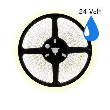 5 meter koud wit led strip waterproof - IP65 - 60Leds/m beschikbaar voor biedingen