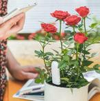Xiaomi HHCC - Flower Care Slimme plant sensor