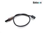 Lambda Sonde Kymco People 125 One 2013, Motoren, Verzenden, Gebruikt