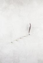 Simone Sirna - Divenire