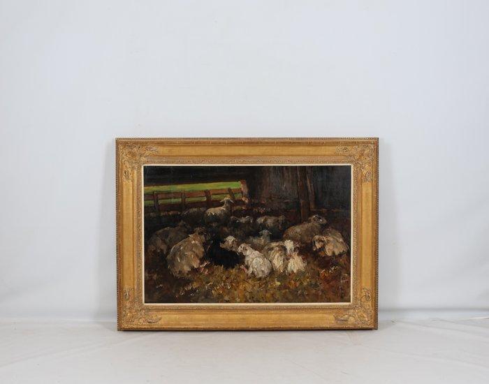 Willem Hendrik van der Nat (1864–1929) - Schapen in stal, Antiek en Kunst, Kunst | Schilderijen | Klassiek