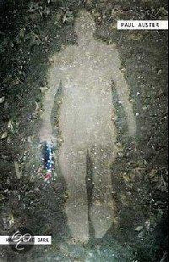 Man in the Dark 9780312356583 Paul Auster, Boeken, Taal | Engels, Gelezen, Verzenden