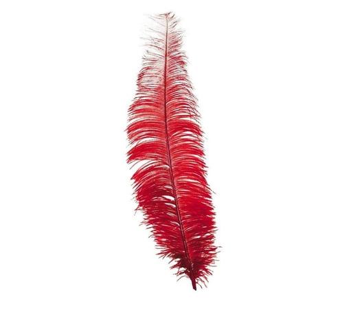 Rode Struisvogelveren 40cm 12st, Hobby en Vrije tijd, Feestartikelen, Nieuw, Verzenden