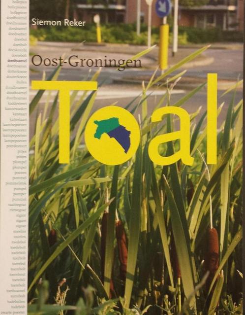 Toal. Oost-Groningen 9789077548318, Livres, Langue | Langues Autre, Envoi