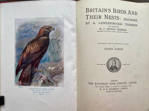 A. Landsborough Thomson. - Britains Birds and Their Nests., Antiek en Kunst, Antiek | Boeken en Manuscripten