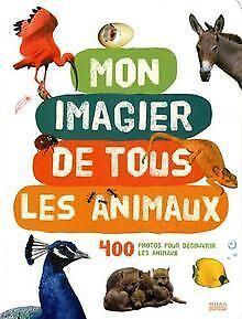 Mon imagier de tous les animaux : 400 Photos pour...  Book, Livres, Livres Autre, Envoi
