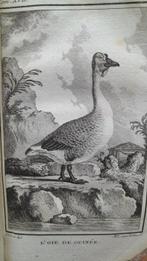 Buffon - Histoire naturelle des oiseaux Volume 17 - 1785, Antiquités & Art, Antiquités | Livres & Manuscrits