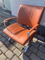 Artifort - René Holten - Fauteuil - Chrome - Artifort Dodo