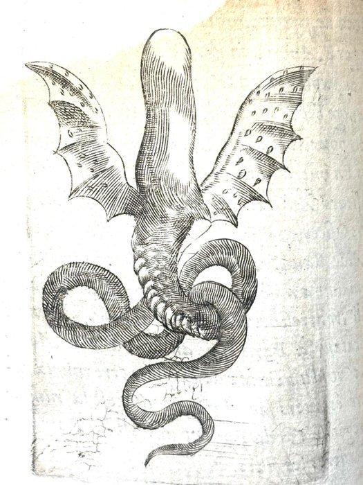 A. dAmboise & Paradin - (MONSTERS & WITCHCRAFT) Devises, Antiek en Kunst, Antiek | Boeken en Manuscripten