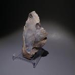 Neolithisch Sikkel. 10 cm lang. Mes - 5000 v.Chr. Bijl