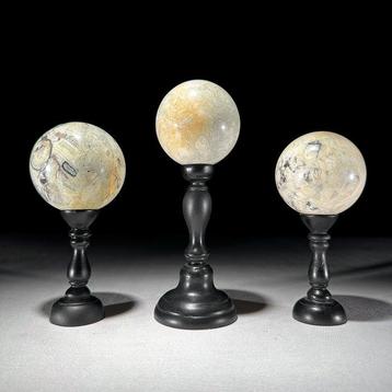 PAS DE PRIX DE RESERVE - Magnifique Ensemble de 3 Onyx