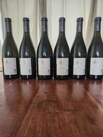 2014 Tiefenbrunner Vigna Au Chardonnay Sudtirol-Alto Adige -, Verzamelen, Wijnen, Nieuw