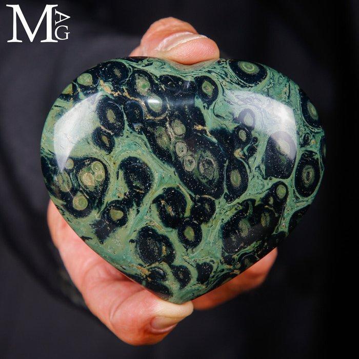 Kambaba Jasper Hart - Topkwaliteit mineraal - Verfijnde, Verzamelen, Mineralen en Fossielen