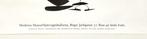 Alexander Calder - Alexander CALDER - Lithography on heavy