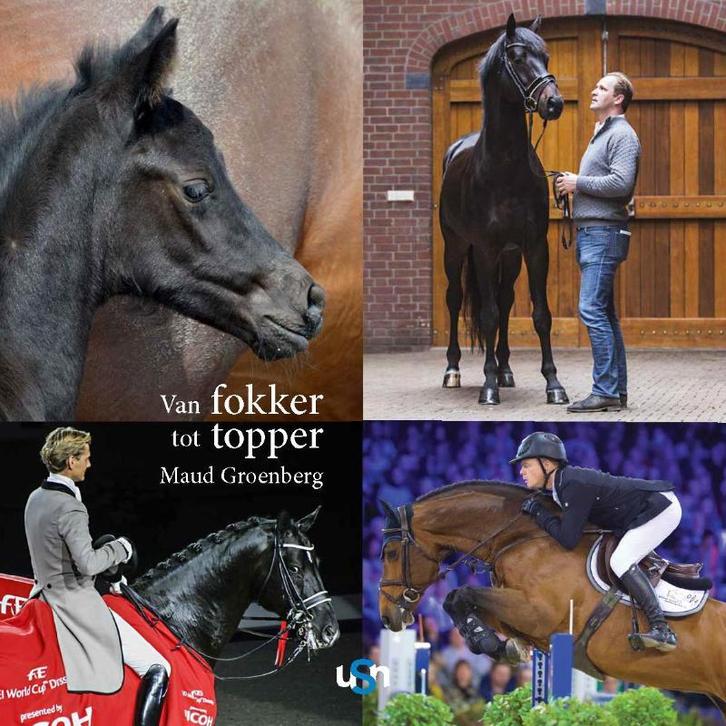 Van fokker tot topper 9789078094937 Maud Groenberg, Boeken, Stripverhalen, Gelezen, Verzenden