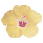 Gele Servetten Bloemen 16,5cm 16st, Verzenden, Nieuw