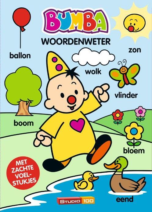 Woordenweter / Bumba 9789059169708 Gert Verhulst, Boeken, Kinderboeken | Jeugd | 13 jaar en ouder, Gelezen, Verzenden