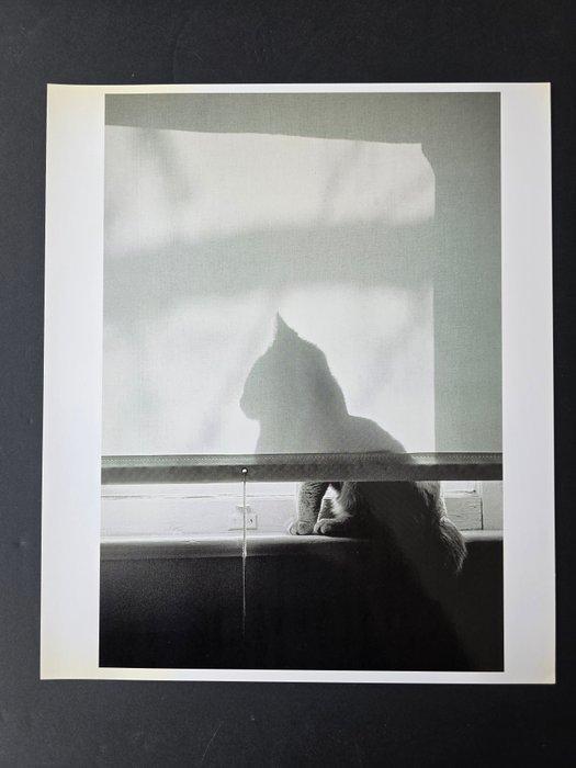 Rich Isawaki - Le Chat, Antiek en Kunst, Kunst | Designobjecten