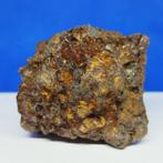 Grote PALLASITE-meteoriet. SERICHO (Kenia, 2016) Olivijnen