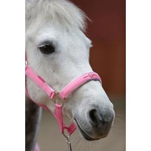 Halsterset lilli starlight halster + halstertouw - kerbl, Animaux & Accessoires, Chevaux & Poneys | Autres trucs de cheval