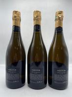2007 Jacques Picard, Art De Vigne - Champagne Extra Brut - 3, Nieuw